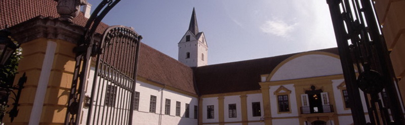 Автоматика для ворот CAME Автоматика для ворот CAME