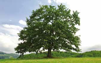 Перегрузочная техника Hörmann Перегрузочная техника Hörmann