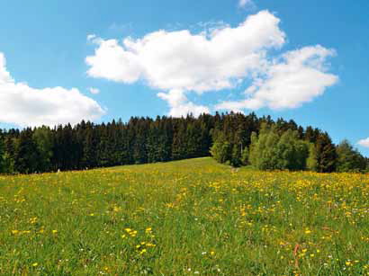 Гаражные секционные ворота Hormann