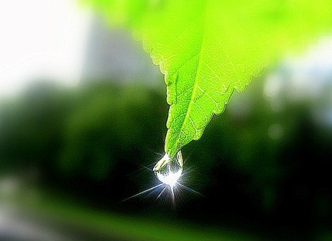 Подъемно-поворотные ворота Berry Hormann