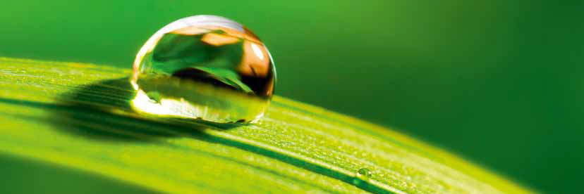 Рулонные ворота и рулонные решетки Hörmann